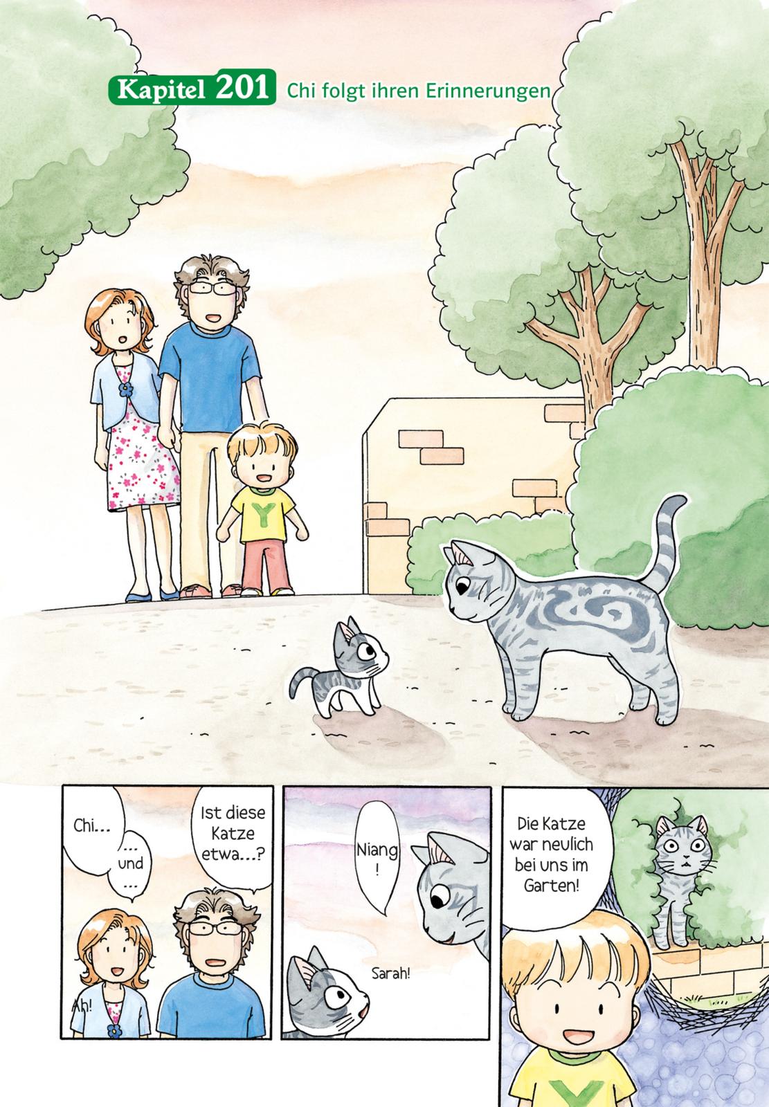 Beispielinhalt (Bild) Kleine Katze Chi 12