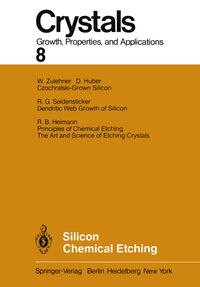 Vorderes Coverbild Silicon Chemical Etching
