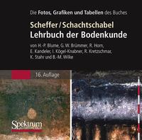 Vorderes Coverbild Lehrbuch der Bodenkunde - Die Abbildungen des Buches