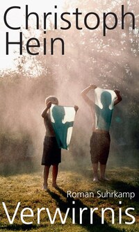 Vorderes Coverbild Verwirrnis