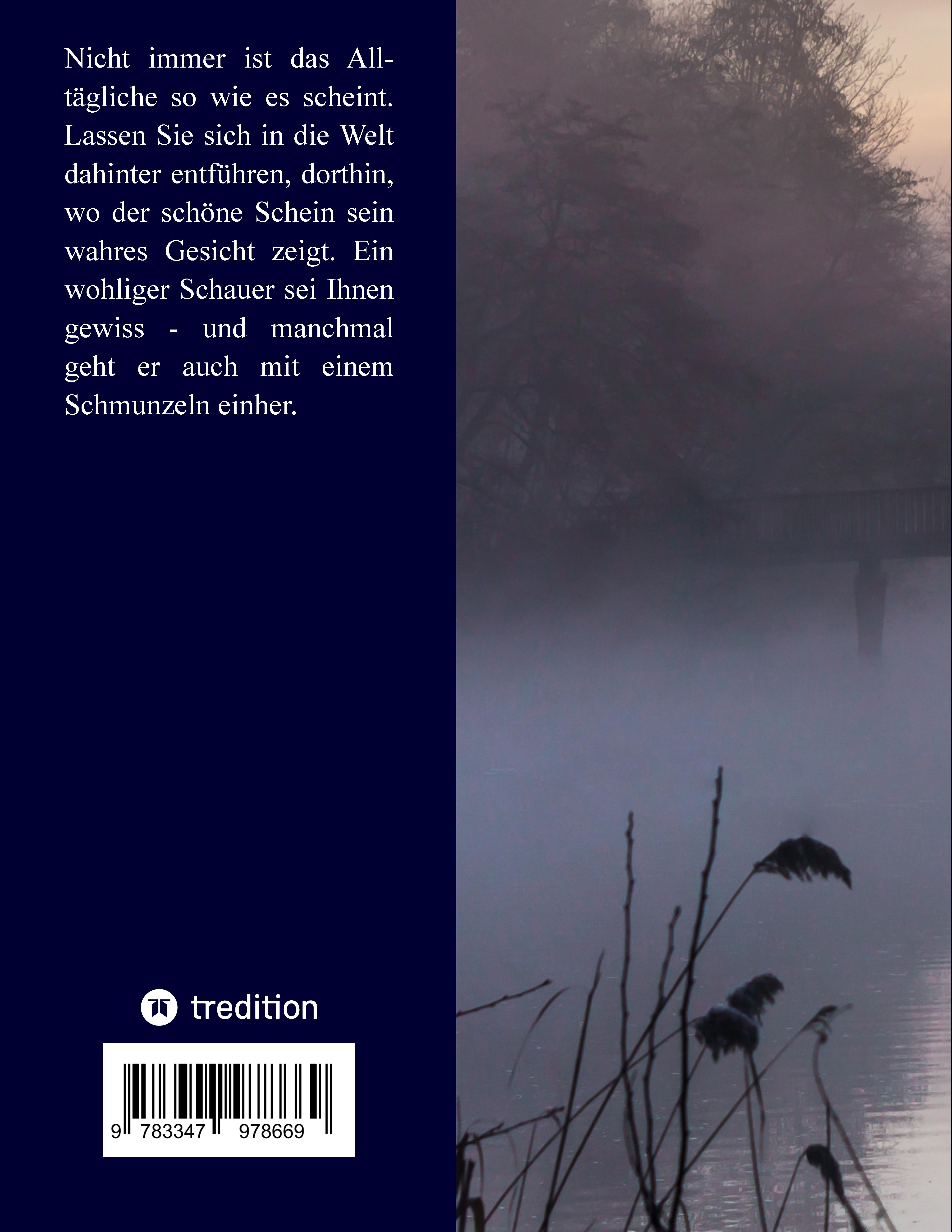 Rückseitencover Traumbrücken