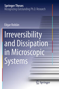 Vorderes Coverbild Irreversibility and Dissipation in Microscopic Systems