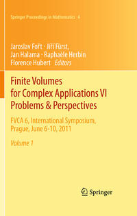 Vorderes Coverbild (hohe Qualität) Finite Volumes for Complex Applications VI Problems & Perspectives