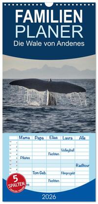 Vorderes Coverbild Familienplaner 2026 - Die Wale von Andenes mit 5 Spalten (Wandkalender, 21 x 45 cm) CALVENDO