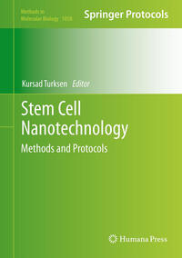Vorderes Coverbild Stem Cell Nanotechnology
