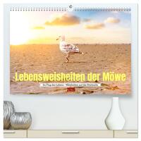 Vorderes Coverbild Lebensweisheiten der Möwe - Im Flug des Lebens (hochwertiger Premium Wandkalender 2026 DIN A2 quer), Kunstdruck in Hochglanz
