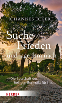 Vorderes Coverbild Suche Frieden und jage ihm nach