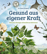 Vorderes Coverbild Gesund aus eigener Kraft