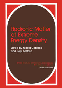 Vorderes Coverbild Hadronic Matter at Extreme Energy Density