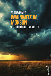 Vorderes Coverbild Wahnwitz im Monsun