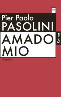 Vorderes Coverbild Amado mio
