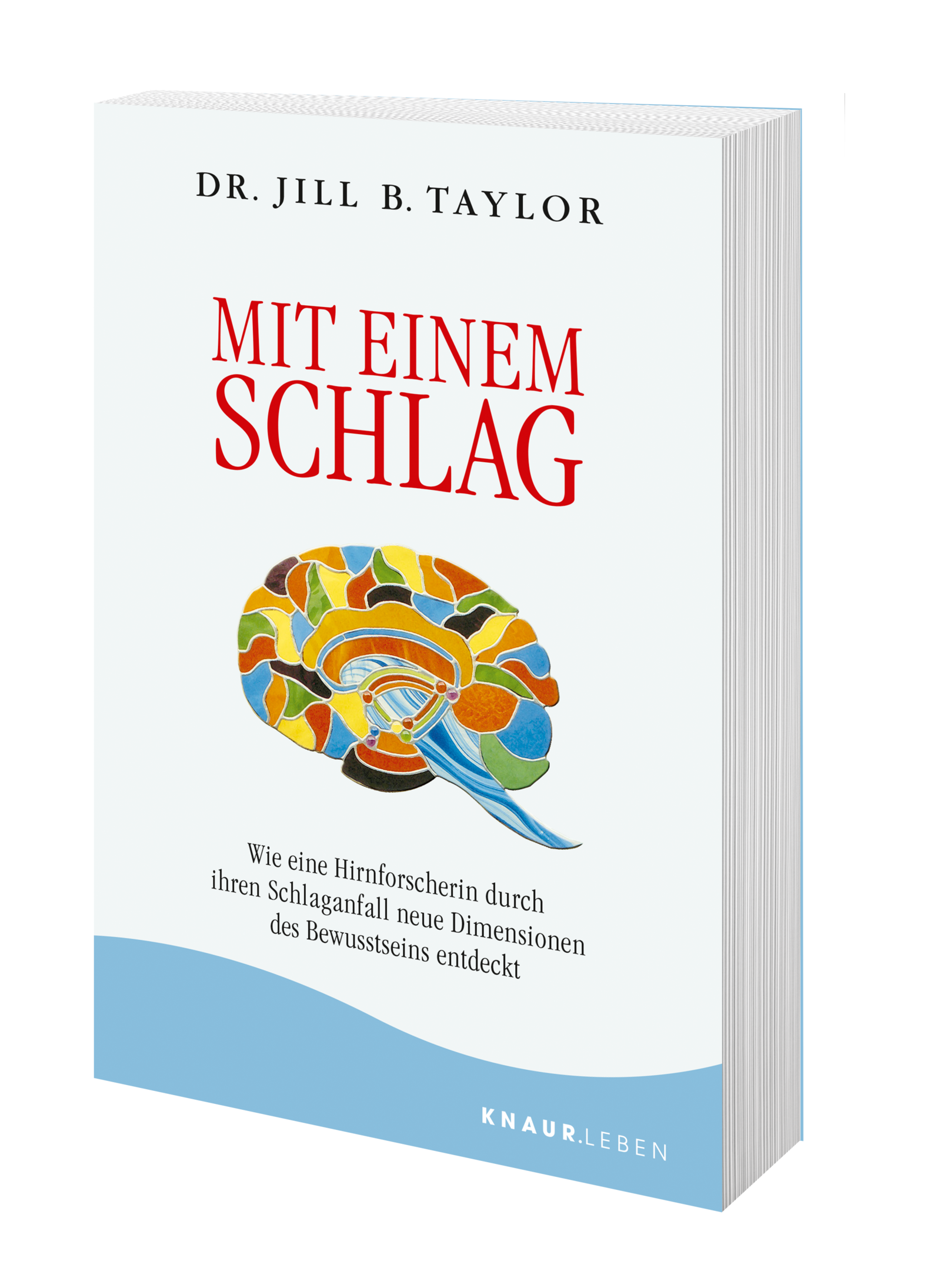 Anderes Coverbild Mit einem Schlag