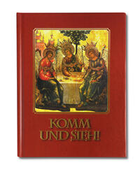 Vorderes Coverbild Komm und sieh!