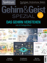 Vorderes Coverbild GehirnGeist Spezial - Das Gehirn verstehen