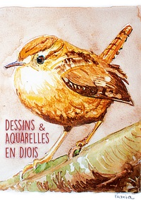 Vorderes Coverbild Dessins & Aquarelles en Diois