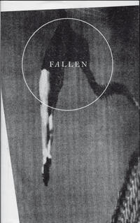 Vorderes Coverbild Fallen