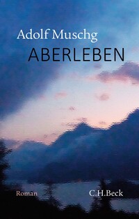 Vorderes Coverbild Aberleben