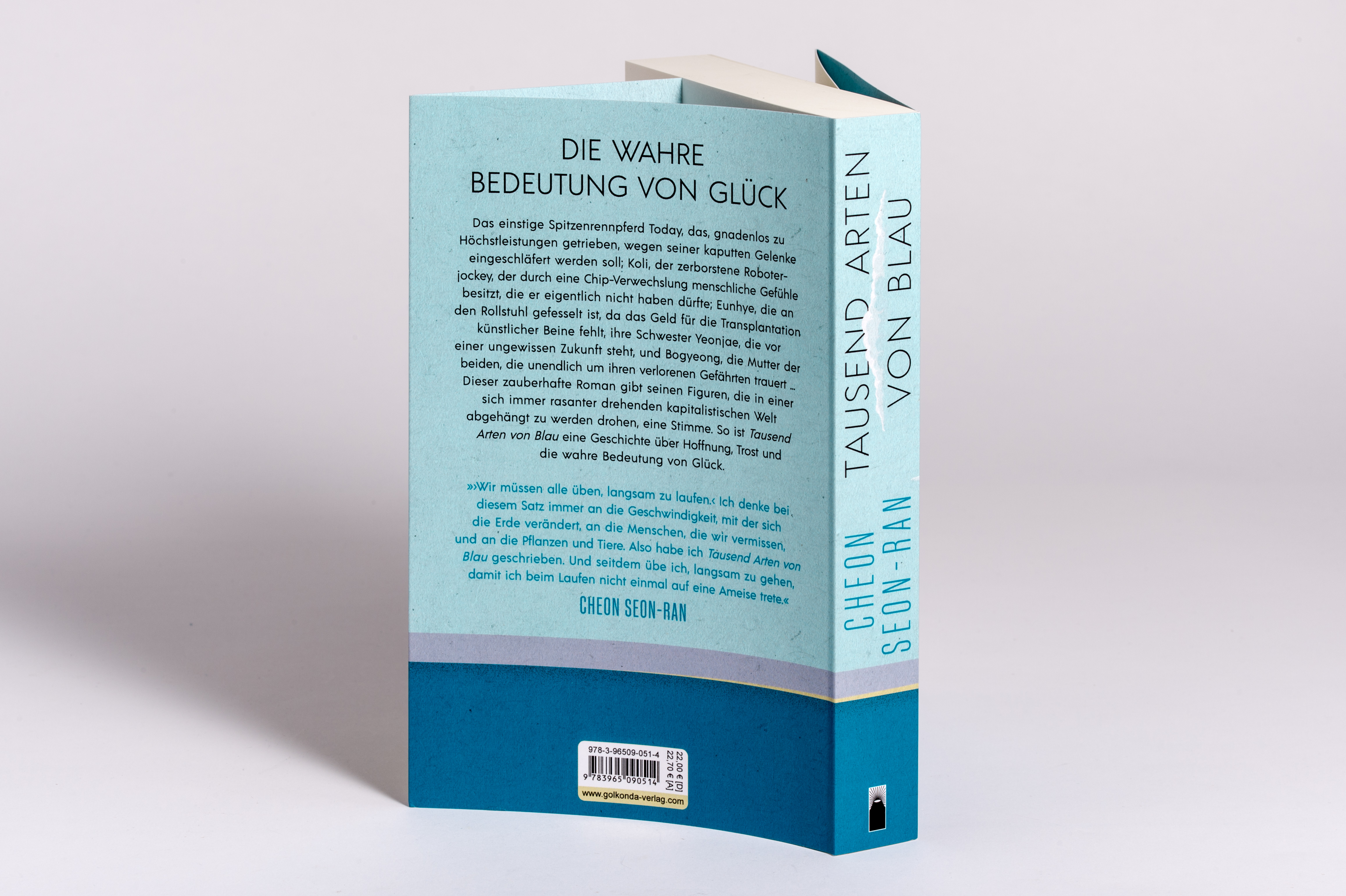 Rückseitencover Tausend Arten von Blau