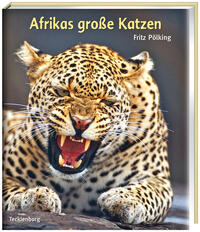 Vorderes Coverbild Afrikas große Katzen