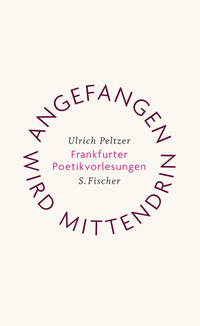 Vorderes Coverbild Angefangen wird mittendrin