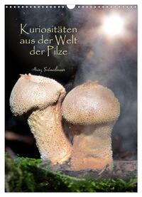 Vorderes Coverbild Kuriositäten aus der Welt der Pilze (Wandkalender 2025 DIN A3 hoch), CALVENDO Monatskalender