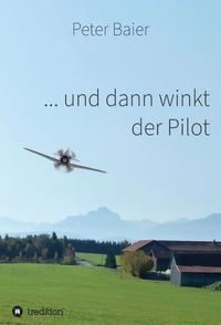Vorderes Coverbild ... und dann winkt der Pilot