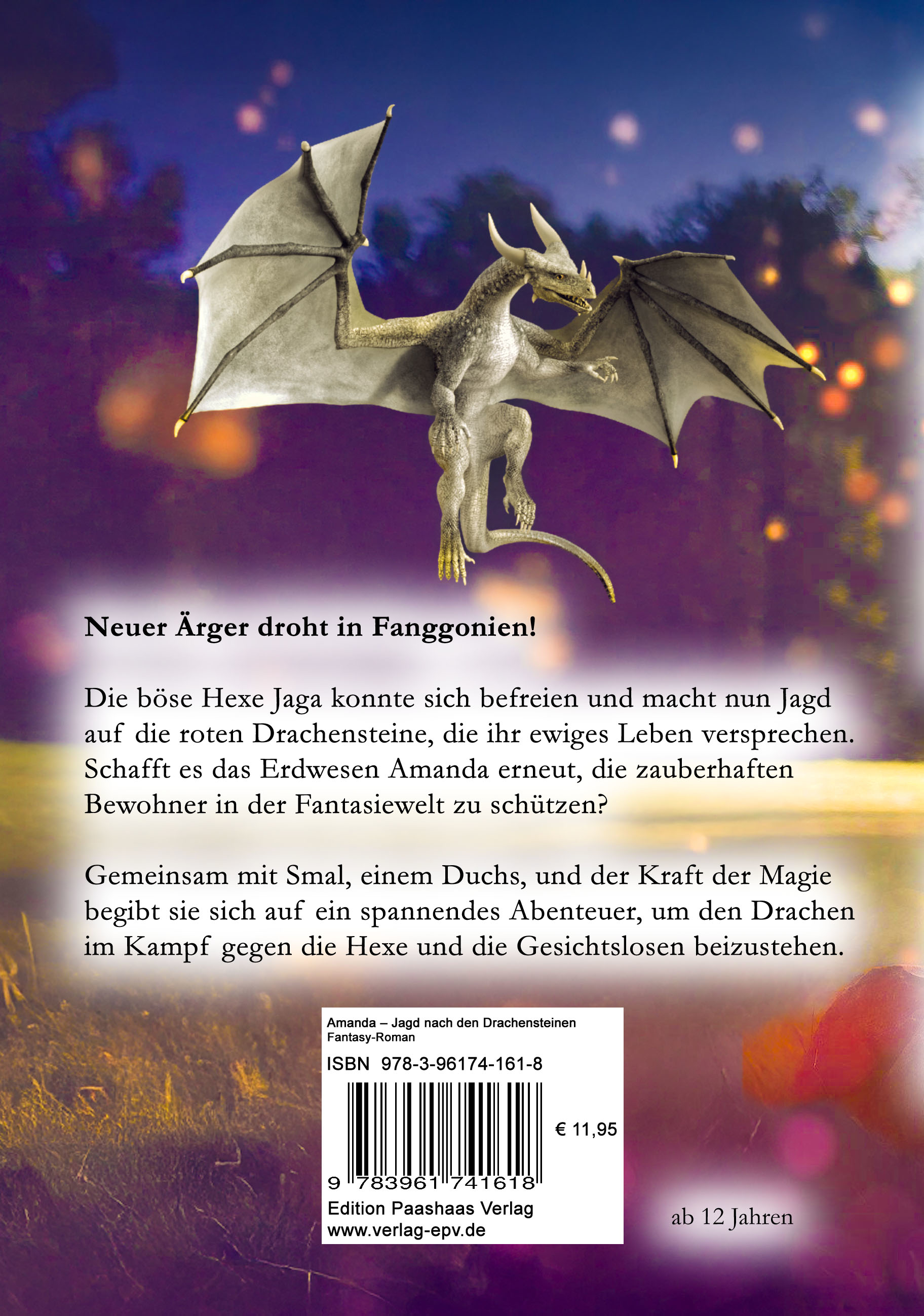 Rückseitencover Amanda – Jagd nach den Drachensteinen