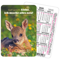 Vorderes Coverbild Spielkartenkalender 2026