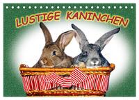 Vorderes Coverbild Lustige Kaninchen (Tischkalender 2026 DIN A5 quer), CALVENDO Monatskalender