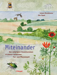 Vorderes Coverbild Miteinander