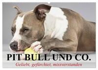 Vorderes Coverbild Pit Bull und Co. - Geliebt, gefürchtet, missverstanden (Wandkalender 2025 DIN A2 quer), CALVENDO Monatskalender