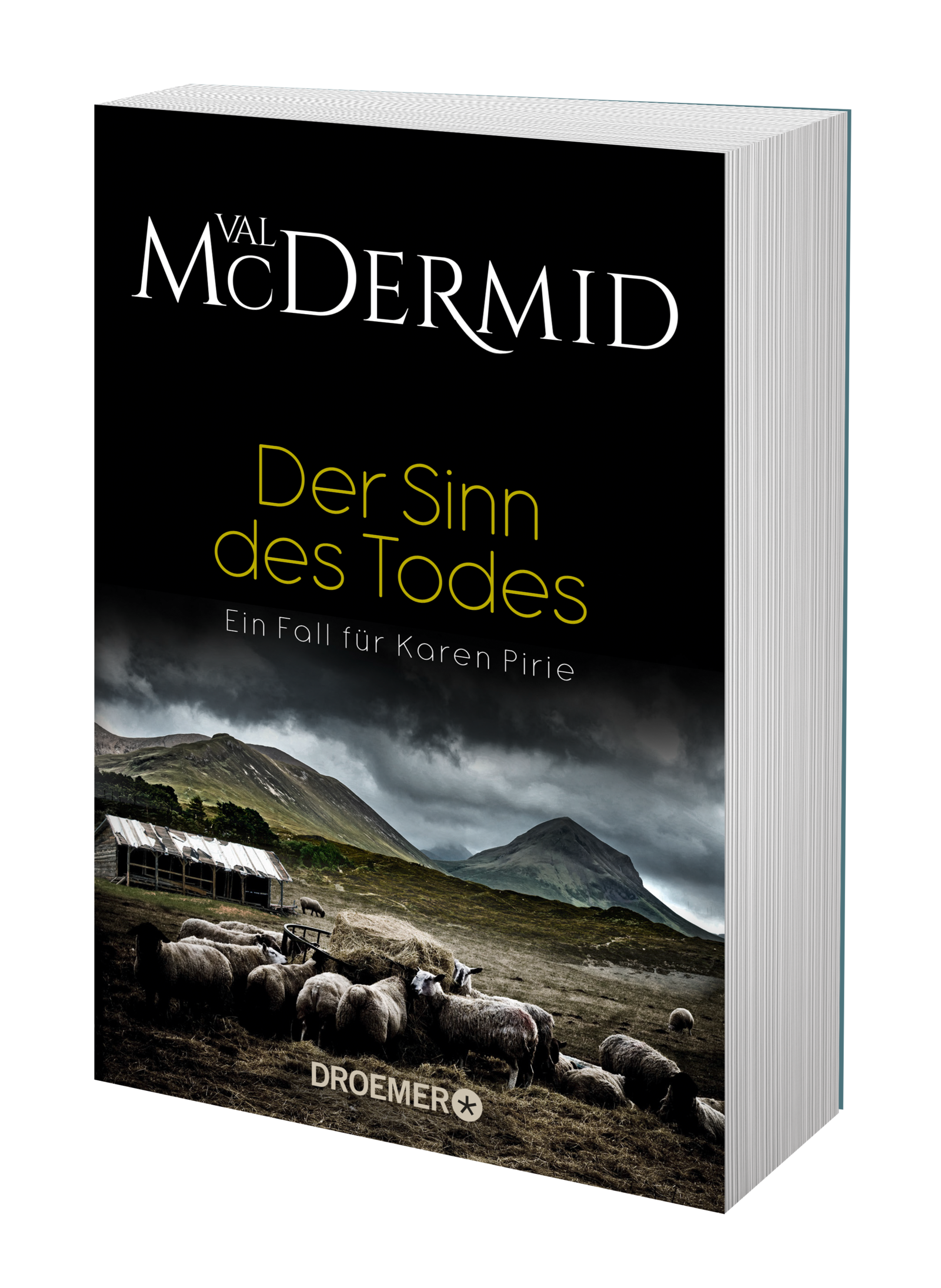 Anderes Coverbild Der Sinn des Todes