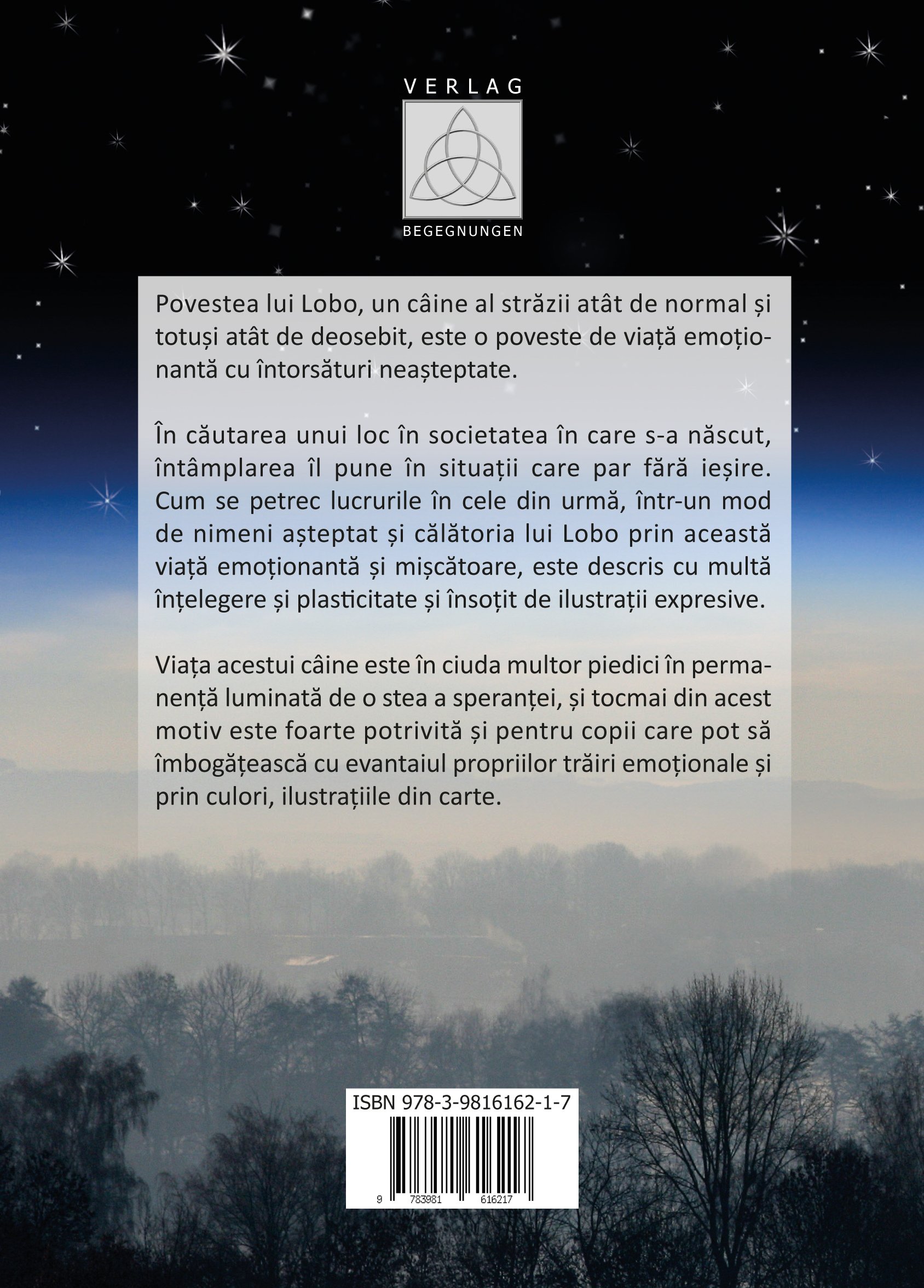 Rückseitencover Lumina Cometei