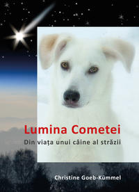 Vorderes Coverbild Lumina Cometei