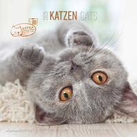 Vorderes Coverbild Alpha Edition - Katzen 2025 Broschürenkalender, 30x30cm, Wandkalender mit Platz für Notizen und Termine, schöne Motive von Katzen, Monatsübersicht und Ferientermine DE/AT/CH