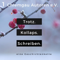 Vorderes Coverbild Trotz. Kollaps. Schreiben.