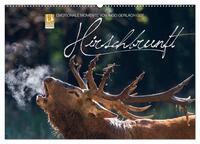 Vorderes Coverbild Emotionale Momente: Hirschbrunft (Wandkalender 2025 DIN A2 quer), CALVENDO Monatskalender