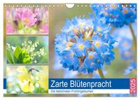 Vorderes Coverbild Zarte Blütenpracht. Die lieblichsten Frühlingsblumen (Wandkalender 2025 DIN A4 quer), CALVENDO Monatskalender