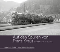 Vorderes Coverbild Auf den Spuren von Franz Kraus