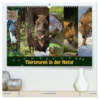 Vorderes Coverbild Tierspuren in der Natur (hochwertiger Premium Wandkalender 2025 DIN A2 quer), Kunstdruck in Hochglanz