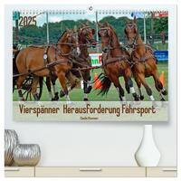 Vorderes Coverbild Vierspänner Herausforderung Fahrsport (hochwertiger Premium Wandkalender 2025 DIN A2 quer), Kunstdruck in Hochglanz