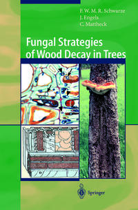 Vorderes Coverbild Fungal Strategies of Wood Decay in Trees
