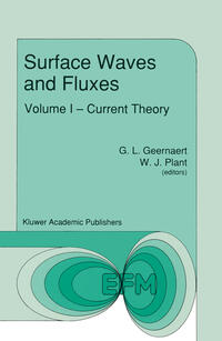 Vorderes Coverbild Surface Waves and Fluxes