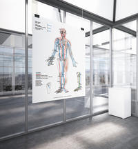 Vorderes Coverbild AMM & TCM Meridian Plakat Ventral DIN A2