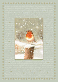 Vorderes Coverbild A4-Wand-Adventskalender – Marjoleins Rotkehlchen