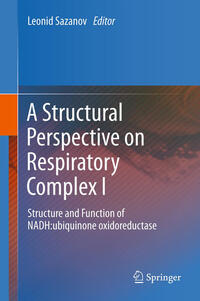 Vorderes Coverbild A Structural Perspective on Respiratory Complex I