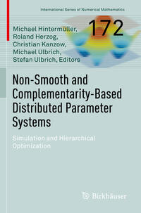 Vorderes Coverbild Non-Smooth and Complementarity-Based Distributed Parameter Systems