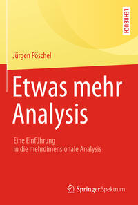 Vorderes Coverbild Etwas mehr Analysis