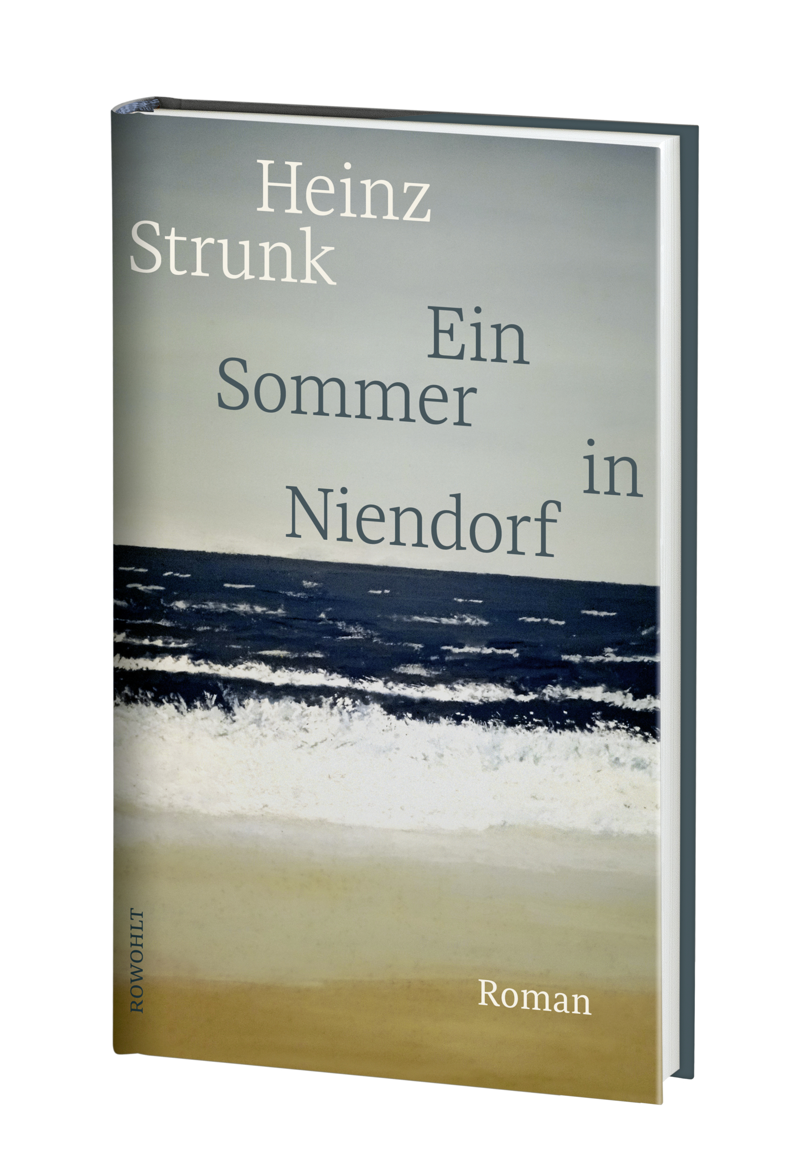 Anderes Coverbild Ein Sommer in Niendorf