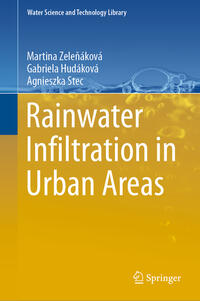 Vorderes Coverbild Rainwater Infiltration in Urban Areas